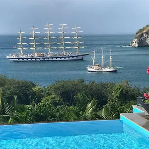 Pelican Deshaies
